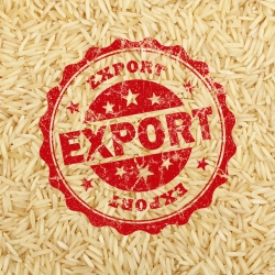 Quality Rice Exporters